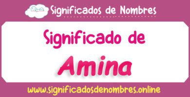 Significado de Amina