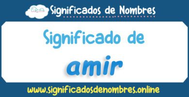 Significado de Amir