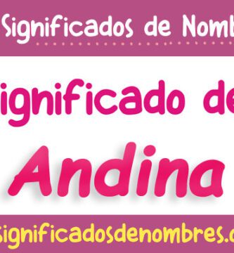Significado de Andina