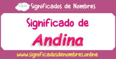 Significado de Andina