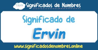 Significado de Ervin