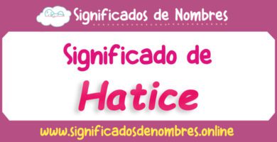 Significado de Hatice