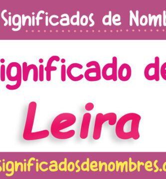 Significado de Leira