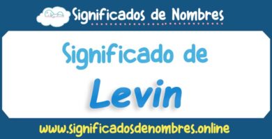 Significado de Levin