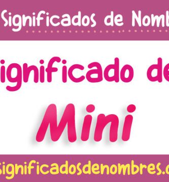 Significado de Mini