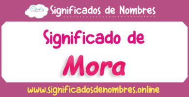 Significado de Mora