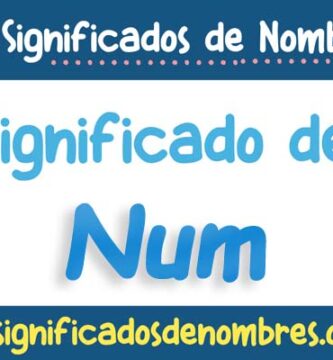 Significado de Num