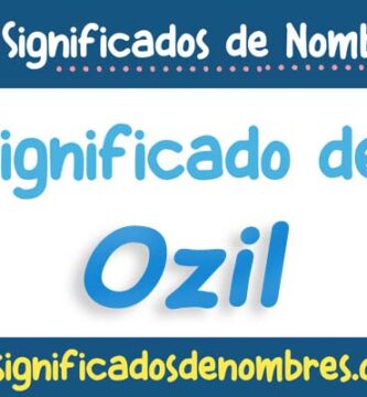 Significado de Ozil