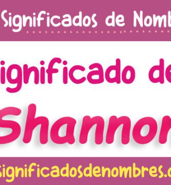 Significado de Shannon