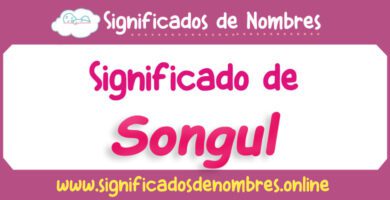 Significado de Songul
