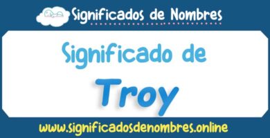 Significado de Troy
