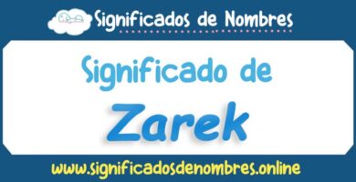 Significado de Zarek