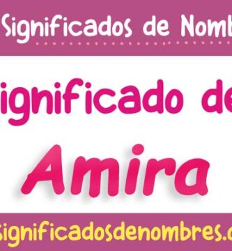Significado de Amira