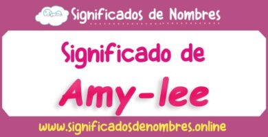 Significado de Amy Lee
