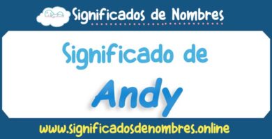 Significado de Andy
