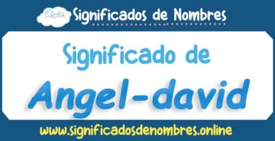 Significado de Angel David