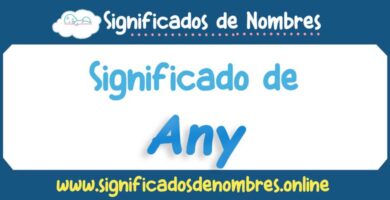 Significado de Any