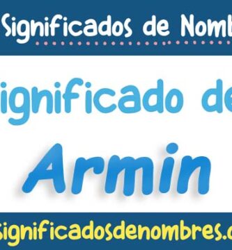 Significado de Armin