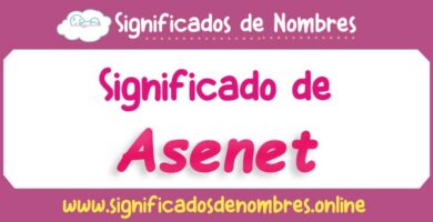 Significado de Asenet