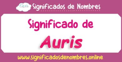 Significado de Auris
