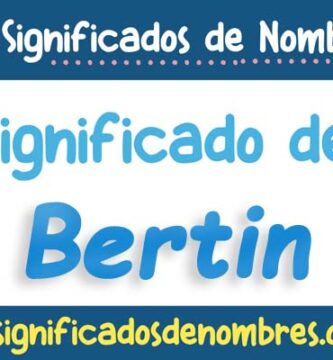 Significado de Bertin