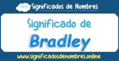 Significado de Bradley