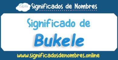 Significado de Bukele