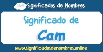 Significado de Cam