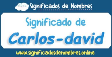 Significado de Carlos David