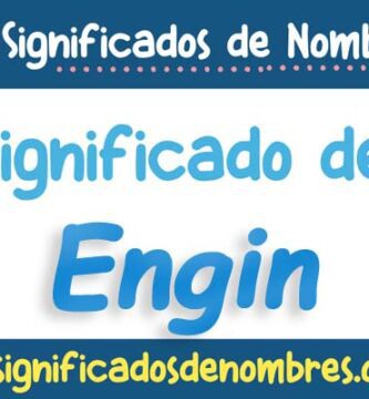 Significado de Engin
