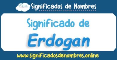 Significado de Erdogan
