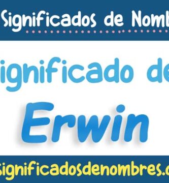 Significado de Erwin