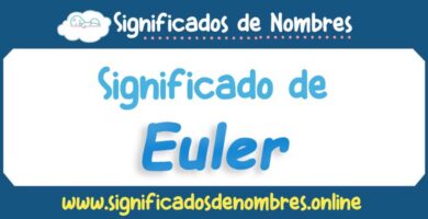 Significado de Euler