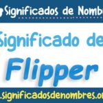 Significado de Flipper