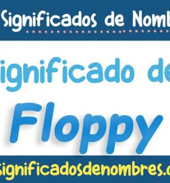 Significado de Floppy