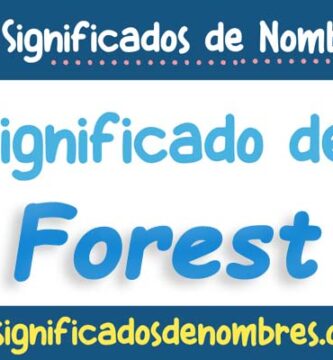 Significado de Forest