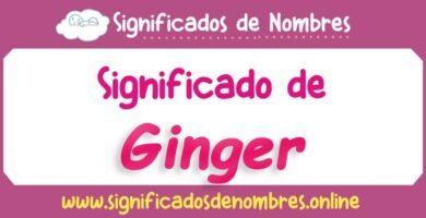 Significado de Ginger