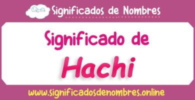 Significado de Hachi