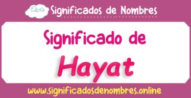 Significado de Hayat