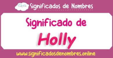 Significado de Holly