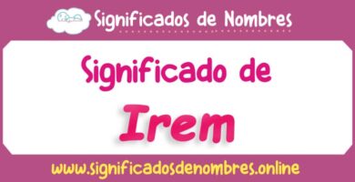 Significado de Irem