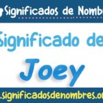 Significado de Joey