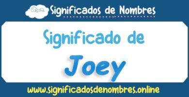 Significado de Joey