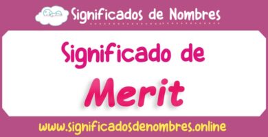 Significado de Merit