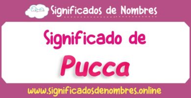 Significado de Pucca