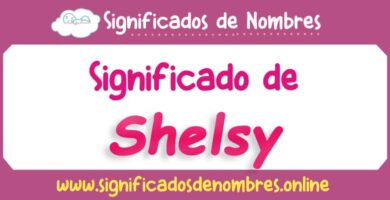 Significado de Shelsy