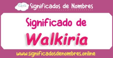 Significado de Walkiria