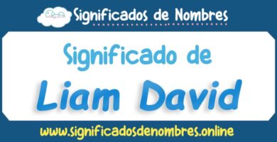 Significado de Liam David