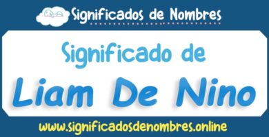 Significado de Liam De Nino