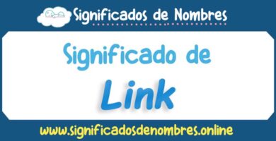 Significado de Link